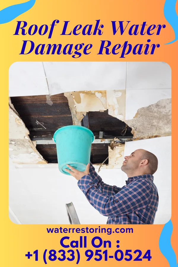 Roof Leak Water Damage Repair in Fifth Street, TX